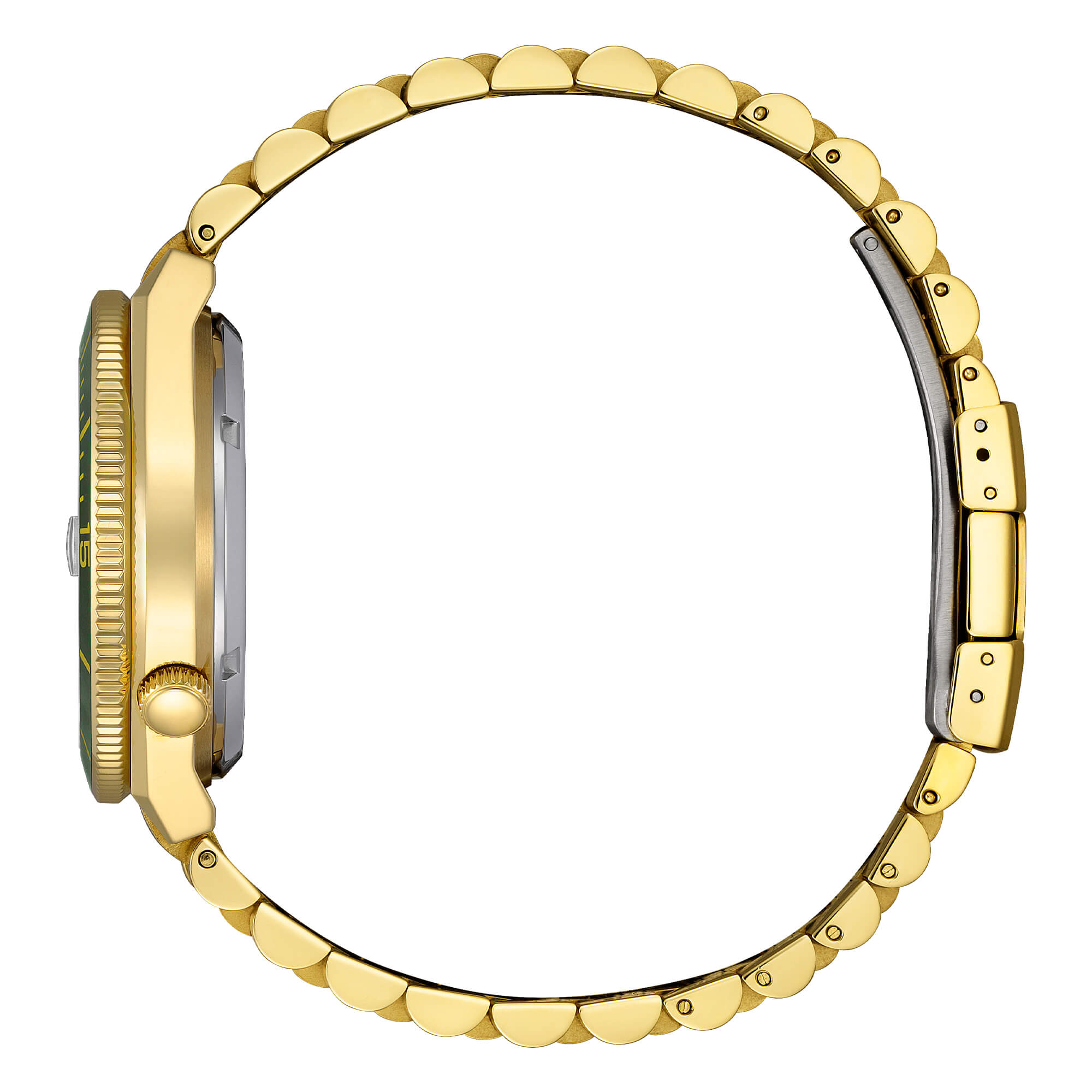 Orologio Citizen Tsyuosa Shore Automatic oro 