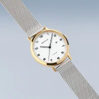 Orologio Bering titanium 